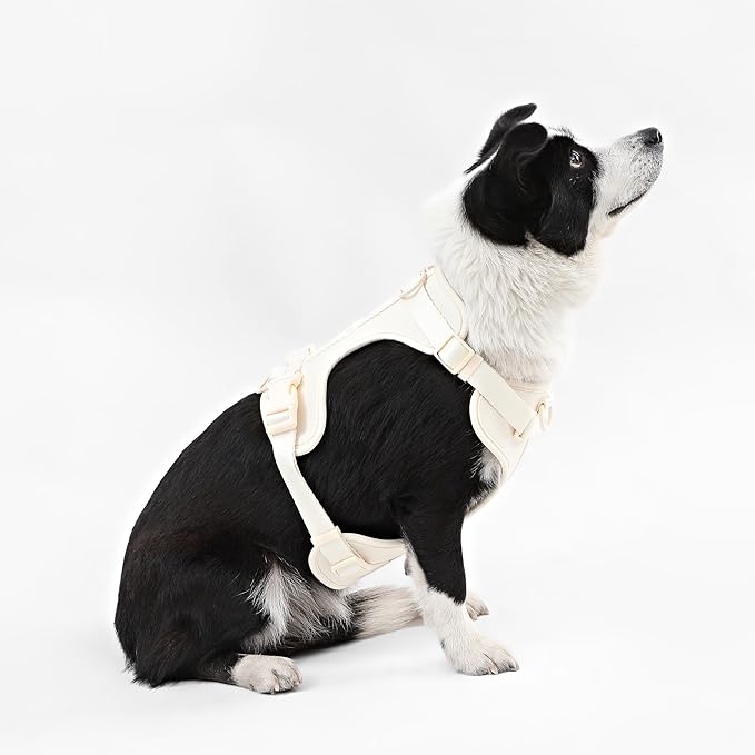 HNS1003L Arlo Large Adjustable Soft Padded No Pull Pet Harness with 3 Buckles and 3 Leash Clips, Bailey