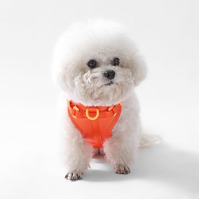 HNS1001A Arlo Small Adjustable Soft Padded No Pull Pet Harness with 3 Buckles and 3 Leash Clips, Aperol