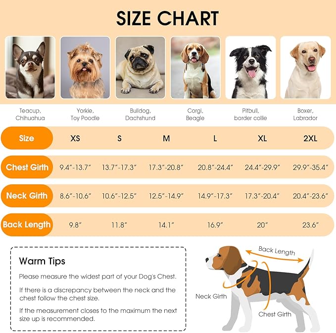 Queenmore Dog Winter Coat, Cold Weather Fleece Jacket for Dogs, Waterproof Reflective Reversible, for Small, Medium and Large Dogs (Green, XL)