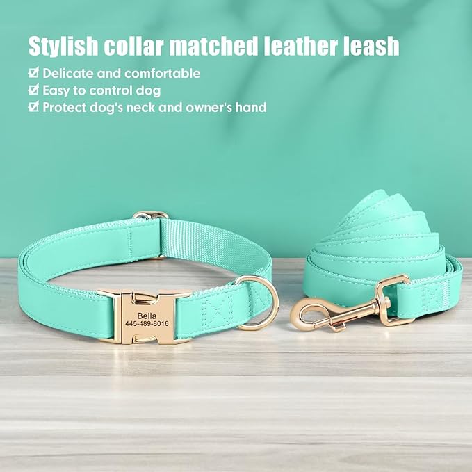 PET ARTIST Personalized Dog Collars, Custom Dog Collar with Engraved Silent Name Tag, Gold Quick Released Buckle & Soft Nylon Padded, Elegant Colors & Matching Leash for Small Dogs,Mint,M Fit 13-19"