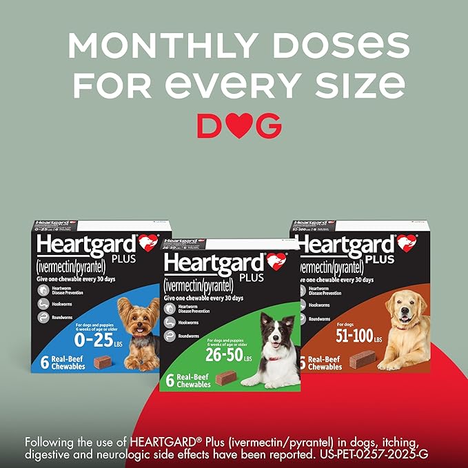 HEARTGARD® Plus (ivermectin/pyrantel) Real-Beef Chewables for Dogs 26-50 lbs (Green Box) 6 Month Supply of Chews (Heartworm Disease Preventive)