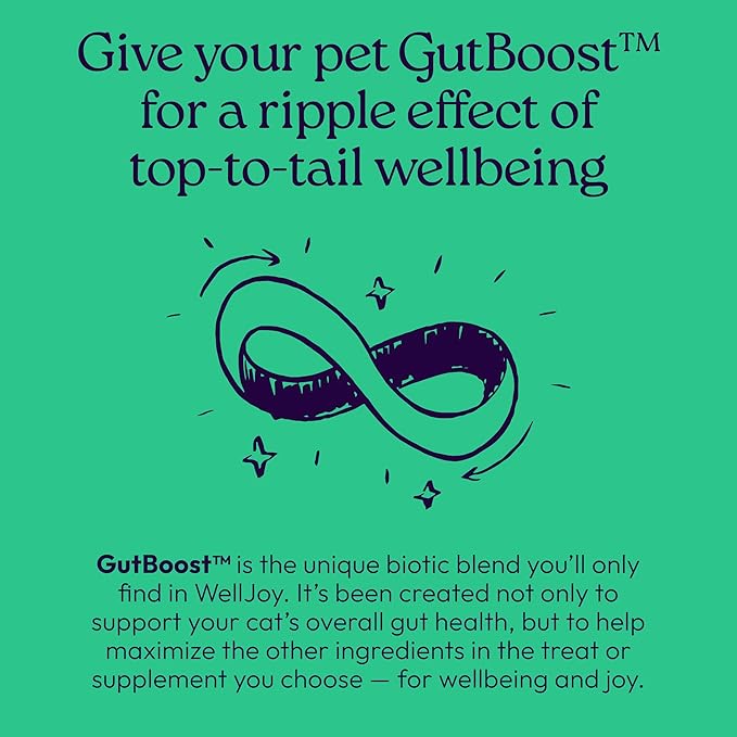 WellJoy Cat Treat Dental+ GutBoost | Helps Reduce Tartar | Helps Freshen Breath | Dual-Benefit GutBoost Formulation | Vet Formulated | Made in USA | Made with Real Chicken | 120 Soft Chews