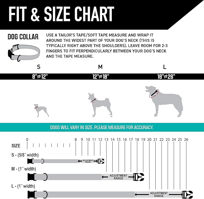 Wolfgang Heavy Duty, Adjustable Dog Collar with Quick Release Nylon Buckle for Walking & Training, LosMuertos Print, Large