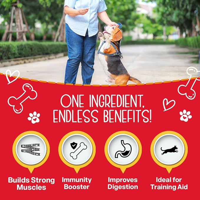 Chewmasters 100% Pure Beef Liver Bites, Healthy Freeze Dried Dog Treats, 17.6 oz, All Natural, Grain Free, High Protein & Zero Additives, Made in USA, Packed with Nutrients and Vitamins