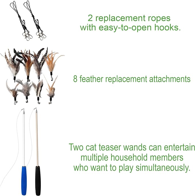 EcoCity Cat Toys - No Chemical Dyeing Cat Feather Toys for Indoor Cats - Include Cat Wand and Natural Feather Refills