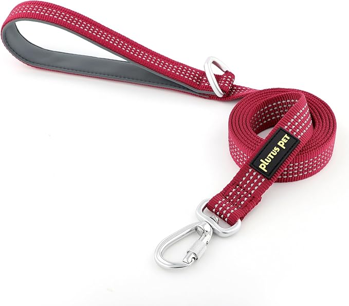 Plutus Pet Heavy Duty Dog Leash with Lockable Aluminum Carabiner, 4/6 Feet Long, Double-Sided Reflective Nylon, Padded Handle, for Puppy, Small, Medium and Large Dogs (Burgundy Red, 1" x 6')