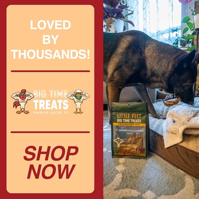 Duck Feet Dog Treats - Single Bag - 12 Pieces - 100% Sourced and Made in USA
