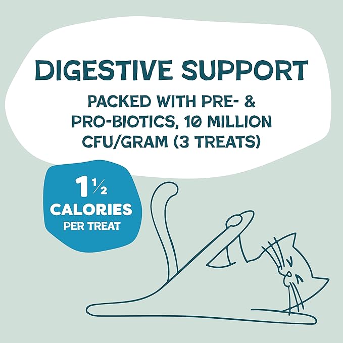 Shameless Pets Crunchy Cat Treats - Catnip Treats for Cats with Digestive Support, Kitten Treats with Real Ingredients, Natural & Healthy Flavored Feline Snacks - Fintastic Catnip, 1-Pk (Pack of 2)