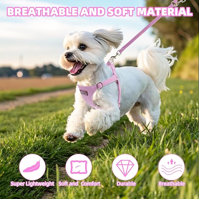 PUPTECK Dog Harness and Leash Set Small Sized, Step-in Cute Puppy Harness, Soft Lightweight Padded Vest, Escape Proof No Pull Pet Harnesses Easy for Walking, Purple, XXS