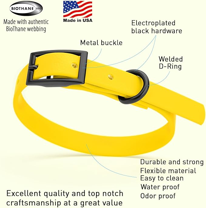 Dogline Biothane Coated Webbing Dog Collar with Black Metal Hardware: Durable Easy-Clean Everyday Collar for Dogs - Comfortable Adjustable Odor-Resistant Pet Collar, W1/2" x L9-12, Lemon Yellow