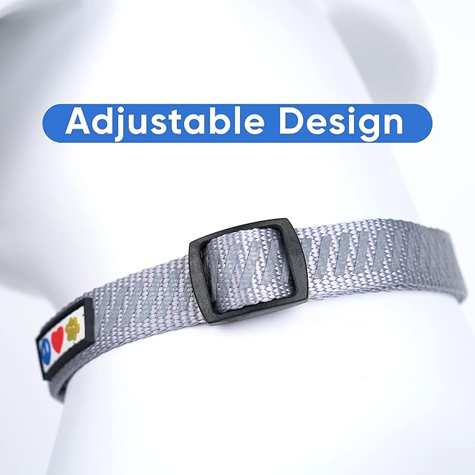 Pawtitas Reflective Dog Collar - Personalized Name & Phone Number, Adjustable for Extra Small Dogs & Puppies - Grey