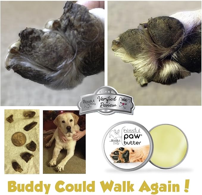 The Blissful Dog Paw Butter, Moisturizer for Dry Paw Pads, Softens and Protects a Rough Paw in Winter, Versatile, Lick-Safe Dog Paw Pad Balm, 4 oz.