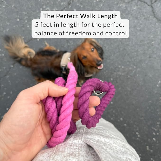 DJANGO Cotton Rope Dog Leash 5ft – Handcrafted Dog Leash and Purple Ombre Braided Leash for Small, Medium, and Large Dogs – Durable 5 Foot Training Lead with Silver Hardware – Raspberry Purple
