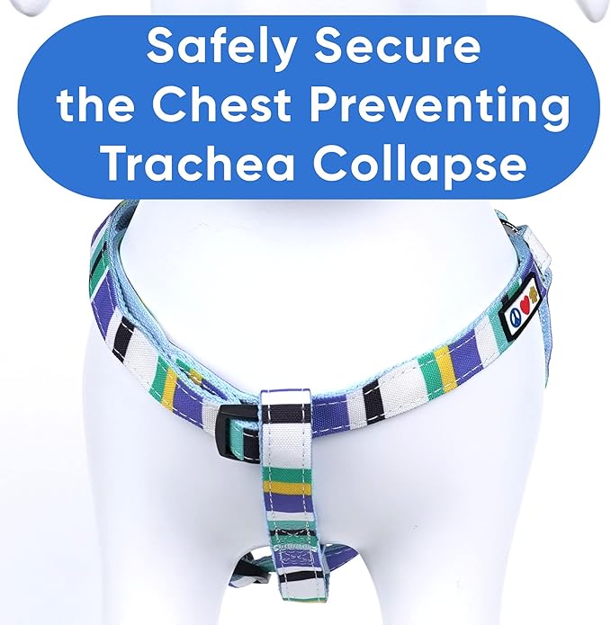 Pawtitas Multicolor Step-in Dog Harness – Adjustable No-Pull Vest for Puppies to Seniors, Safe & Comfortable XS Blue/Teal/Yellow