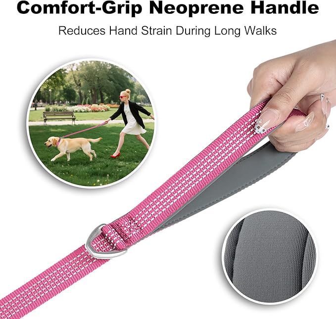 Plutus Pet Heavy Duty Dog Leash with Lockable Aluminum Carabiner, 4/6 Feet Long, Double-Sided Reflective Nylon, Padded Handle, for Puppy, Small, Medium and Large Dogs (Pink, 1" x 6')