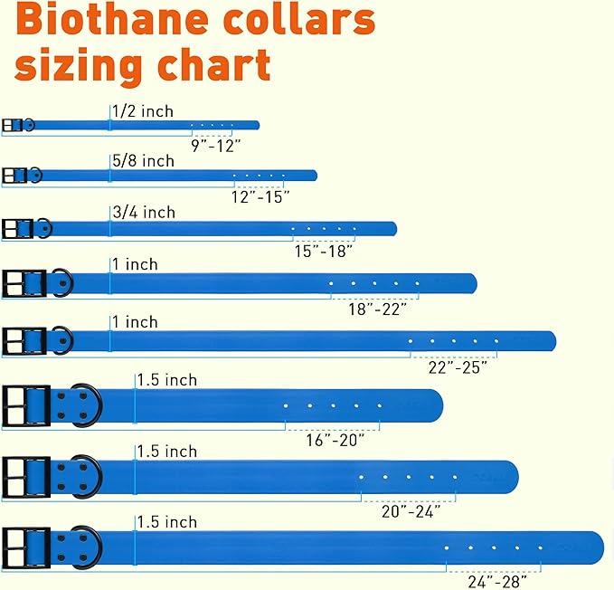 Dogline Biothane Coated Webbing Dog Collar with Black Metal Hardware: Durable Easy-Clean Everyday Collar for Dogs - Comfortable Adjustable Odor-Resistant Pet Collar, W3/4" x L15-18, Cerulean Blue