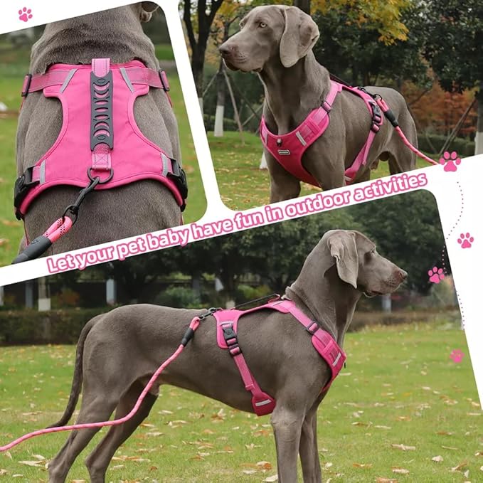Dog Harness No Pull Adjustable Reflective,for Medium and Large Small Dog with Leash 59.06in (Fuscia, L)
