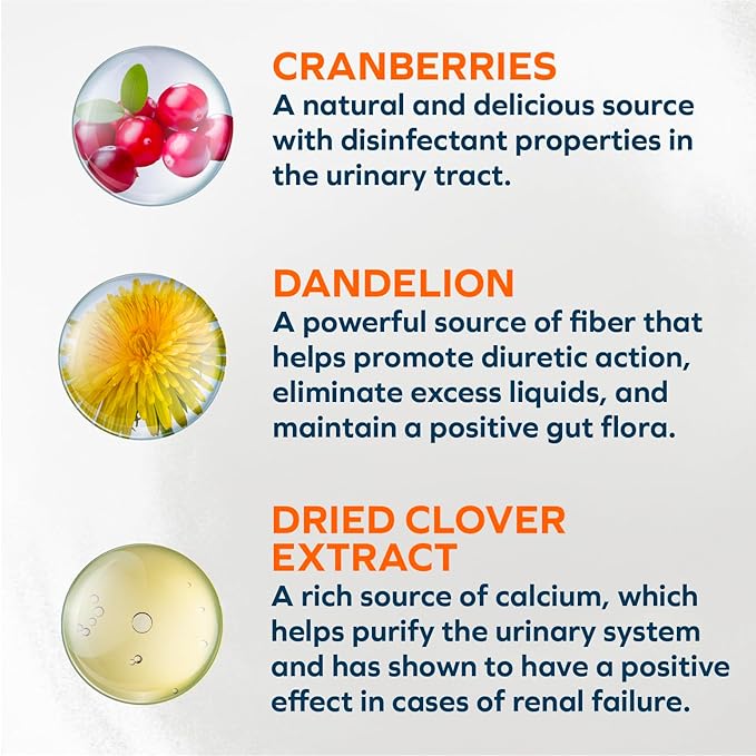 Forza10 - Cat Food, Vet-Formulated Renal Wet, Non GMO, Kidney Care Food with Lamb Flavor, Crafted for Adults, Made in Italy (3.5 oz, 12 Pack)