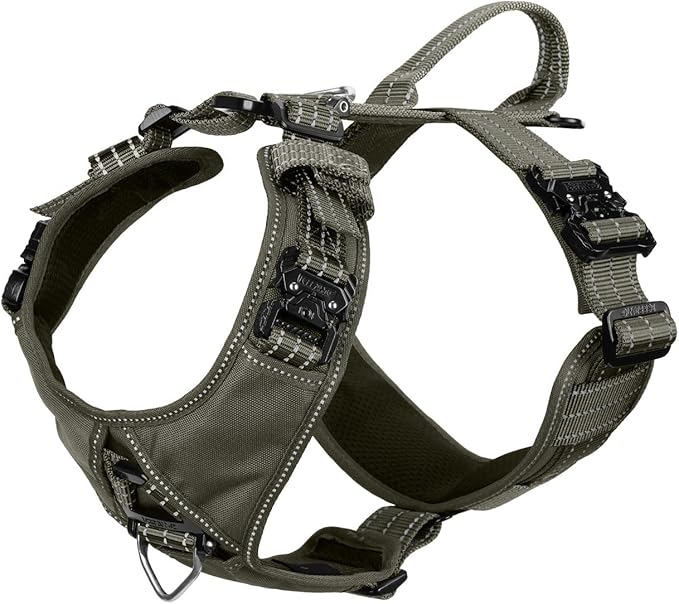 ICEFANG Dog Strap Harness with 4 x Metal Buckles,for Large Sized Dog,K9 Vest,Y-Shape Chest,Adjustable Pet Harness,No-Pull Front Leash Clip (Large (Pack of 1), Green)