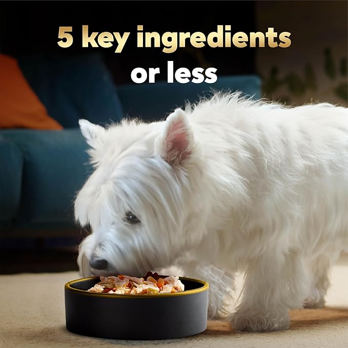 Cesar Simply Crafted Adult Wet Dog Food Meal Topper, Chicken, Sweet Potato, Apple, Barley & Spinach, 1.3 oz., 10 Count (Pack of 1)