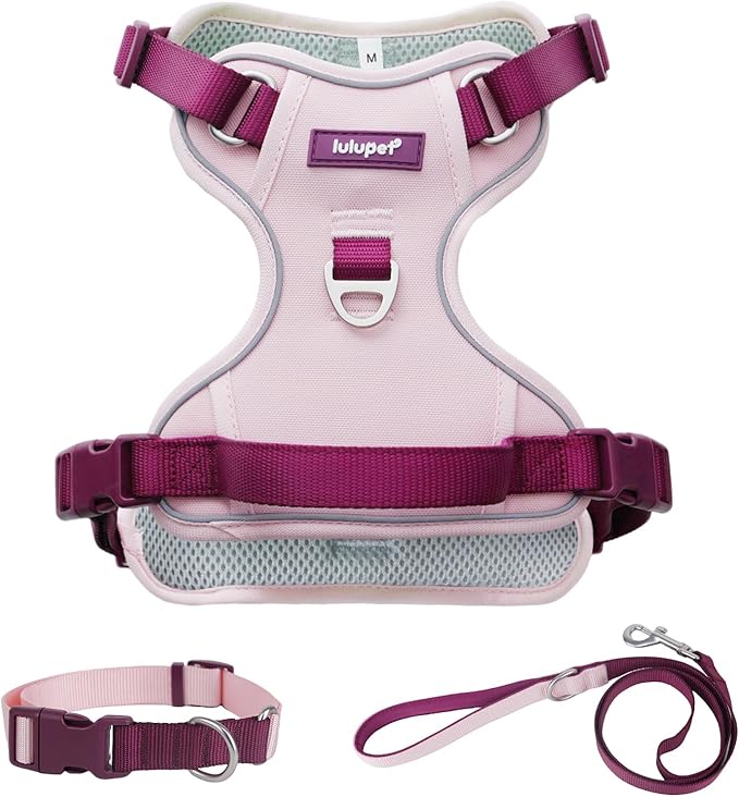 No Pull Dog Harness Leash and Collar Set, Adjustable Dogs Vest with Reflective Strip Soft Handle for Small Medium Large Sized Dog Pink