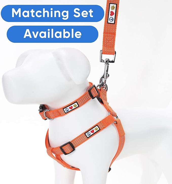 Pawtitas Reflective Dog Collar Adjustable Dog Collars for Large Dogs Puppy Collar Large Dog Collar Orange Dog Collar