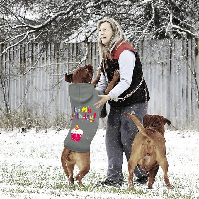GreenJoy Dog Sweater Dog Hoodie Cold Weather Coat Hooded Sweatshirt for Puppies,Cats, Small Medium Large Dogs (Grey(It's My Birthday), Large)