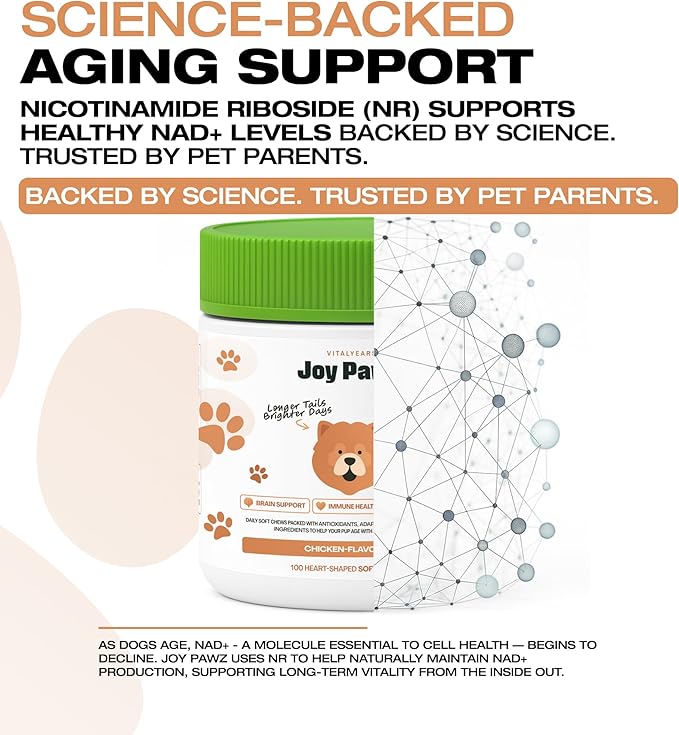 Senior Dog Supplement & Raise NAD+ Levels, Anti Aging, Tumeric, Multivitamin, Probiotics - Soft Chews - Brain, Joint & Immune Support – Chicken Flavor, 100pc