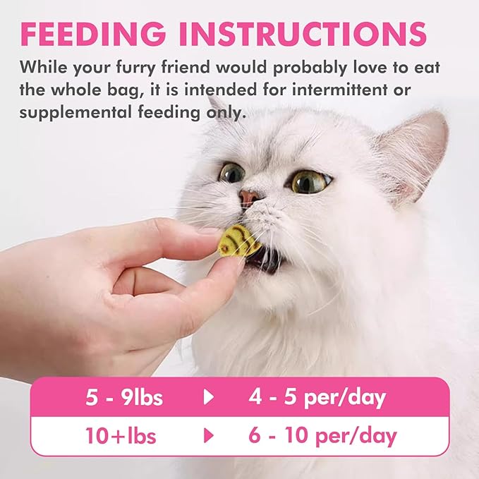 Puddonio Catnip Cat Treats, Chicken and Salmon Flavor Cat Snacks, Training Biscuits Treats for Cats, Crunchy Fish Shape Adult Cat Biscuits, 16 oz
