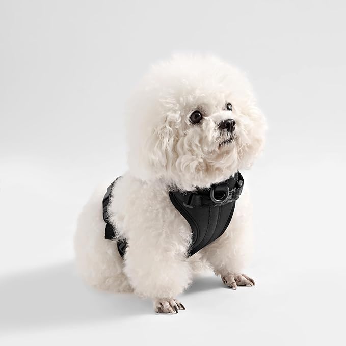 HNS1000I Arlo Extra Small Adjustable Soft Padded No Pull Pet Harness with 3 Buckles and 3 Leash Clips, Bitters
