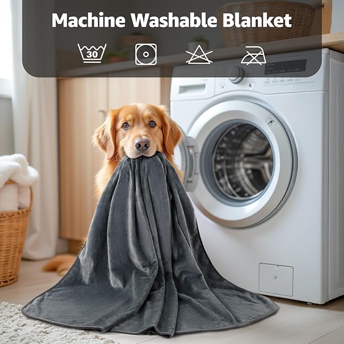 LOOBANI Waterproof Dog Blanket for Bed: Spill-Proof Puppy Blankets for Small Medium Dogs Washable, Reversible Soft Flannel Pet Throw for Couch Sofa Cover, Crate, Travel, Picnic, 30" x 40", Grey