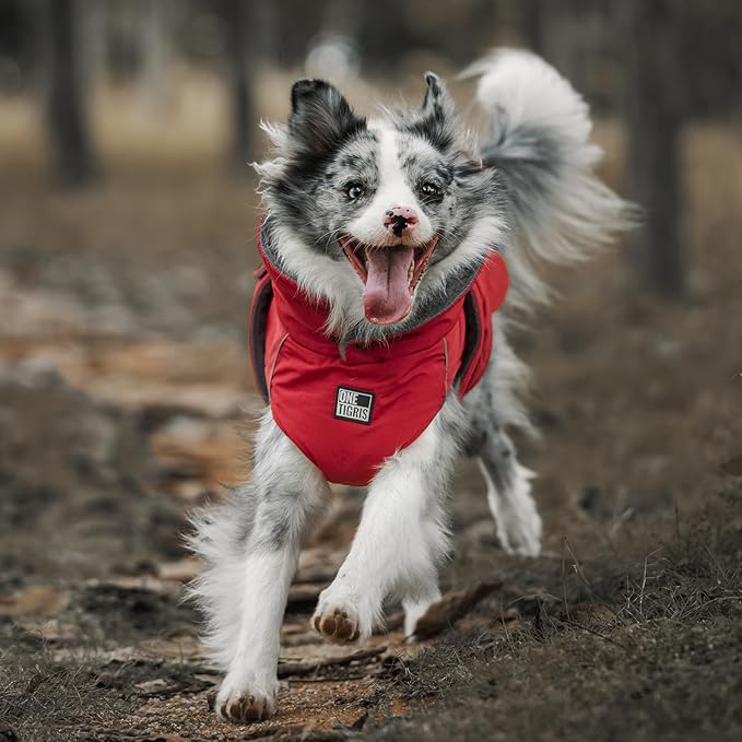 OneTigris Dog Coat Waterproof Dog Jacket with Adjustable Buckle Hook & Loop Windproof Cold Weather Coats for Small Medium Large Dogs (Red, Medium)