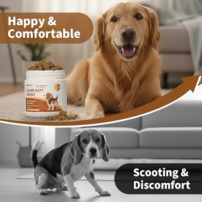 Anal Gland Chews for Dogs Treats with Pumpkin, Fiber & Probiotics - Supports Scooting, Stool Quality & Gut Digestive Health - Chicken Flavor, 90 Count