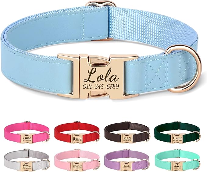 PET ARTIST Personalized Dog Collars, Custom Engraved Dog Collar with Silent Name Tag, Gold Quick Released Buckle & Soft Nylon Padded, Elegant Colors & Matching Leash for Medium Dogs,Blue,M Fit 13-19"
