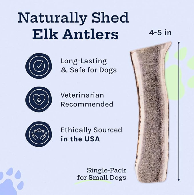 Good Trouble Premium Elk Antlers for Small Dogs – 1 Pack Split - All-Natural, Shed Antler Chews for Dental Health & Calming - Durable Dog Bones - Cruelty-Free, North American Sourced