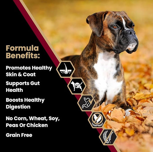 VICTOR Super Premium Dog Food— Sensitive Skin and Stomach— Grain Free Lamb Meal and Sweet Potato Recipe Dry Kibble — Gluten Free, No Chicken, Ideal for Dogs with Allergies — Adult and Puppy Food, 5 lb