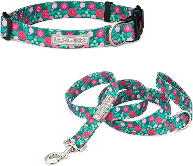 Lucky Love Dog - Adjustable Dog Collar and Leash Set with Easy Click Buckle for Small to Large Dogs, Durable, & Comfortable Collar for Male & Female Dogs, Puppies & Adult Ones - Penny Combo, XS