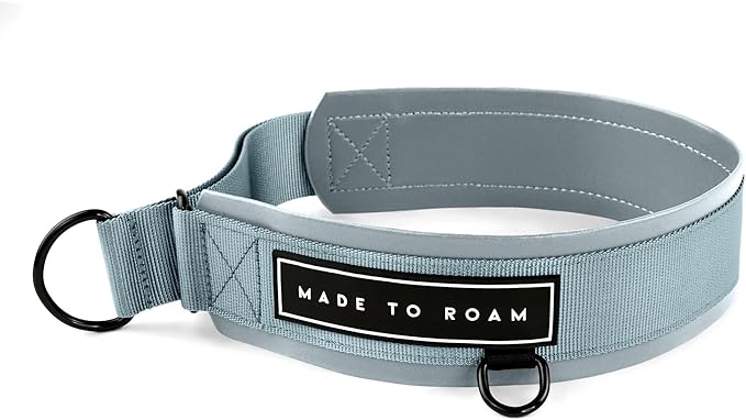 MADE TO ROAM Premium Everyday Dog Collar - Martingale Style No Pull Vegan Leather Collar, Heavy Duty and Lightweight for Small, Medium, Large Dogs (Virginia Mountains, Size 7)