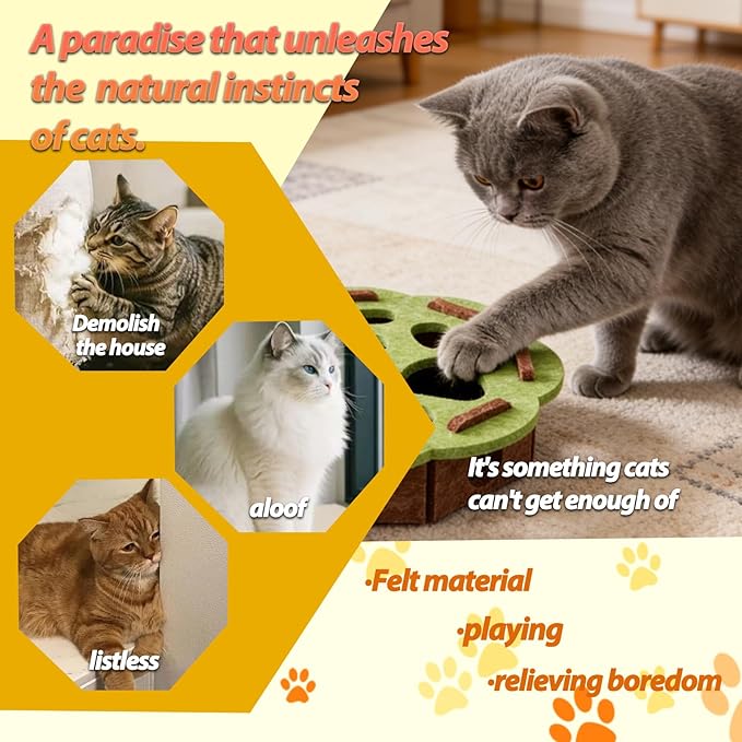 Interactive Cat Puzzle Toy, Felt Maze Box, Allows Cats to Play Independently, Scratching and Hunting Puzzle Box, Kitten Toy, a Gift for Kittens. (Green lace)