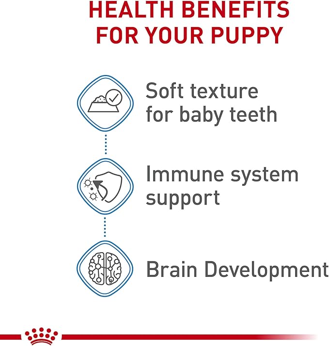 Royal Canin Size Health Nutrition Starter Mother & Babydog Mousse in Sauce Dog Food, 5.1 oz (Pack of 24)
