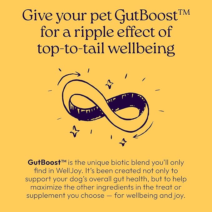 New! WellJoy Dog Treat Immune+ GutBoost | Vitamin E | Pumpkin for Sensitive Stomachs | Dual-Benefit GutBoost Formulation | Vet Formulated | USA Made | Made with Real Shredded Chicken | 30 Soft Chews