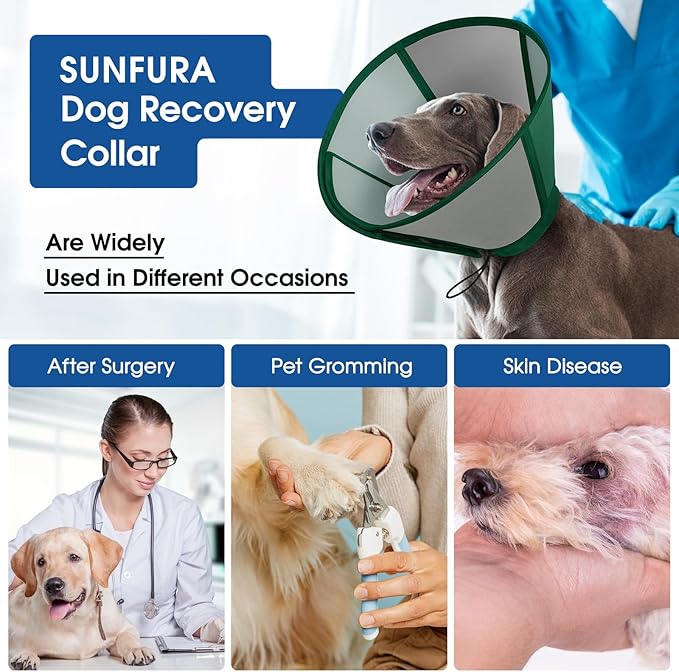 SUNFURA Dog Cone - Soft Cone for Dogs to Stop Licking, Adjustable Dog Cones for Medium Dogs After Surgery, Pet Recovery Elizabethan Collar Alternative for Wound Care, Spay, Neuter, Green M