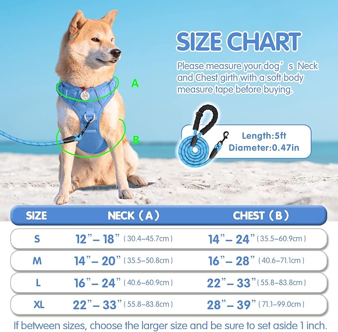 PoyPet No Pull Dog Harness and 5 Feet Leash Set, Release on Neck Reflective Adjustable Pet Vest, Front & Back 2 D-Ring and Soft Padded Pet Harness with Handle for Small to Large Dogs(Light Blue,S)