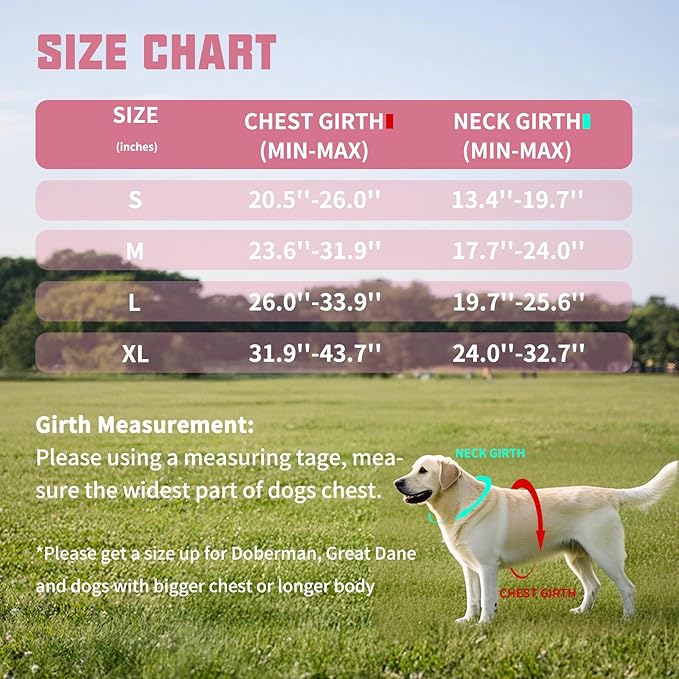 AUROTH Dog Harness and Leash Set, Soft Padded Service Dog Vest with 5.25FT Dog Leash, No Choke, Easy On Pet Vest, Adjustable Reflective No Pull Dog Harness for Large Dogs, Easy Walking and Training