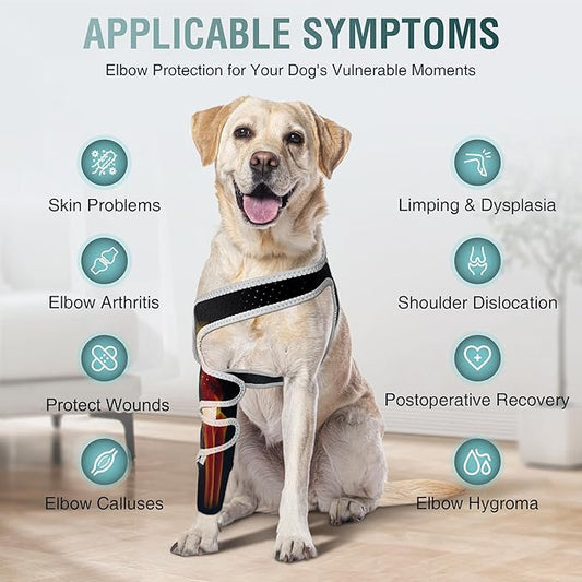 Dog Elbow Brace & Dog Front Leg Brace – Dog Elbow Protector for Hygroma, Pressure Sores, Breathable Dog Sleeves for Front Legs, Reflective – Right Leg, M