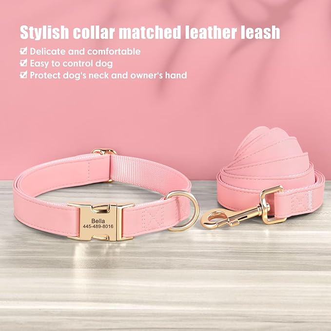 PET ARTIST Personalized Dog Collars, Custom Engraved Pink Dog Collar with Silent Name Tag, Gold Quick Released Buckle & Soft Nylon Padded, Elegant Colors & Matching Leash for Large Dogs,L Fit 16-27"