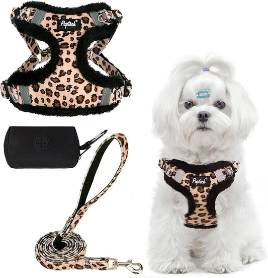 PUPTECK Dog Harness and Leash Set Small Sized, Step in No Pull Adjustable Puppy Cat Harness Reflective Pet Vest