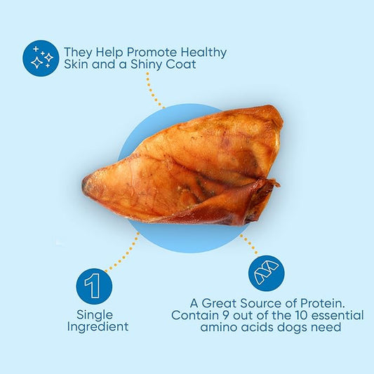 123 Treats Natural Pig Ears for Dogs, 100% Natural Long Lasting Pork Dog Chews, Ideal for All Chewers, Delicious and Healthy Dog Treats, Pig Ears Large and Mix (one Pack of 100)