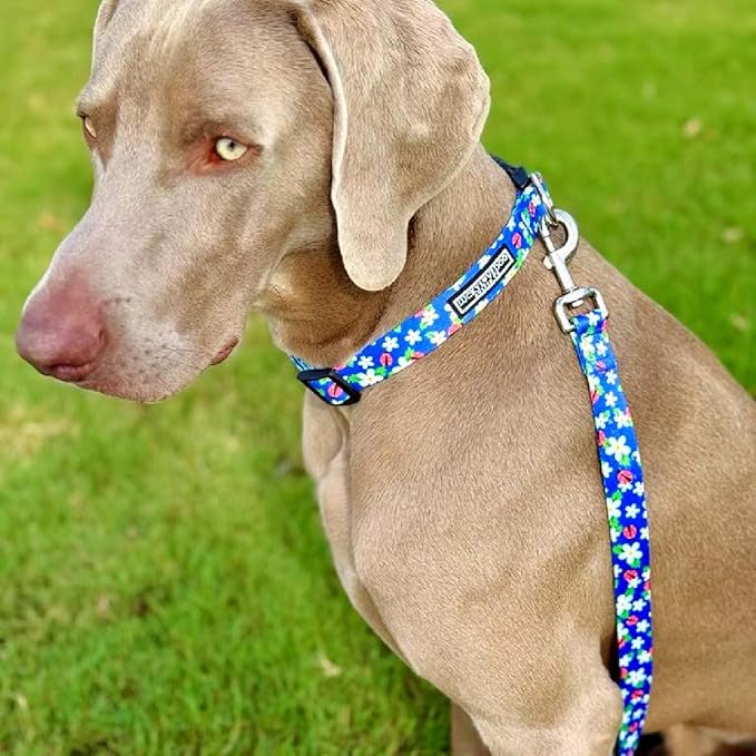 Lucky Love Dog - Adjustable Dog Collar with Easy Click Buckle for Small to Large Ones, Durable, & Comfortable for Male & Female Dogs, Pet Collar for Puppies & Adult Dogs - Lilian, XS