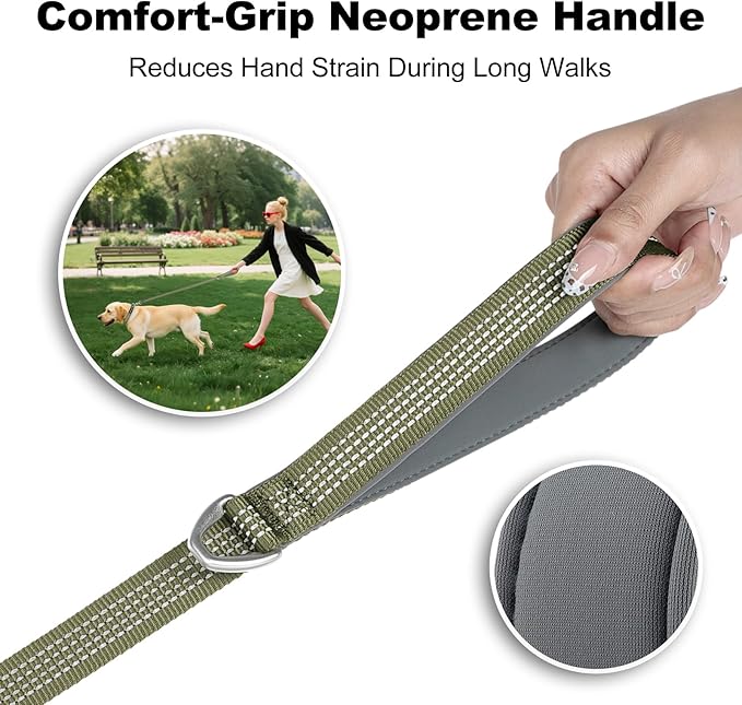 Plutus Pet Heavy Duty Dog Leash with Lockable Aluminum Carabiner, 4/6 Feet Long, Double-Sided Reflective Nylon, Padded Handle, for Puppy, Small, Medium and Large Dogs (Ranger Green, 1" x 4')